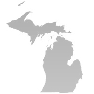Telecommunications Services in Michigan