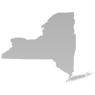 Telecommunications Services in New York